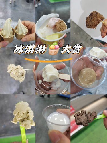 食品展开始了