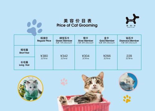 香港宠物：了解香港宠物文化？香港宠物店排行榜
