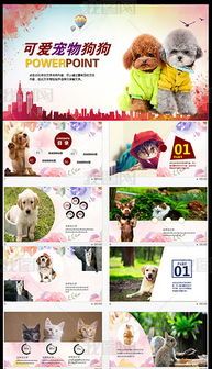香港宠物：了解香港宠物文化？香港宠物店排行榜