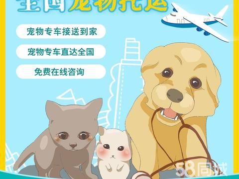 中国香港宠物店/服务·宠物猫狗兔鸽托运空运陆运飞机火车铁路专车运输价格优上门接送到家全国往返
