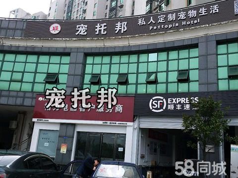 宠邦宠物托运1·香港深圳国内国际宠物托运服务专业快捷通关安全有保障