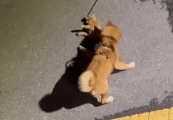 [图片来源=Weact官方Instagram]