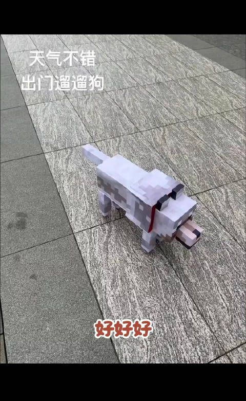 大学生定制宠物狗亮相，不吵不闹无需喂养
