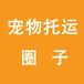 丽江宠物托运服务飞机火车汽车托运宠物服务国内国际