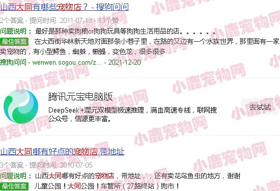 大同宠物店