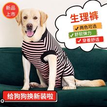 胖狗安全裤生理裤防骚扰