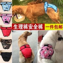宠物金毛防骚扰大狗生理裤