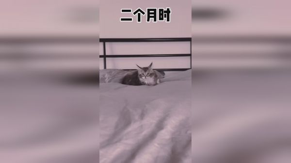  跳着跳着就长大了
