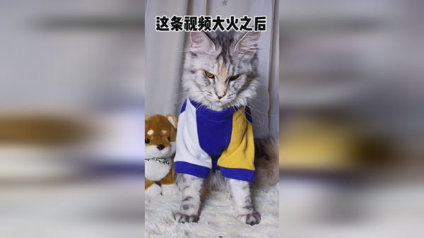 噼噼的长相已经让大家忘记，她其实是个小仙女