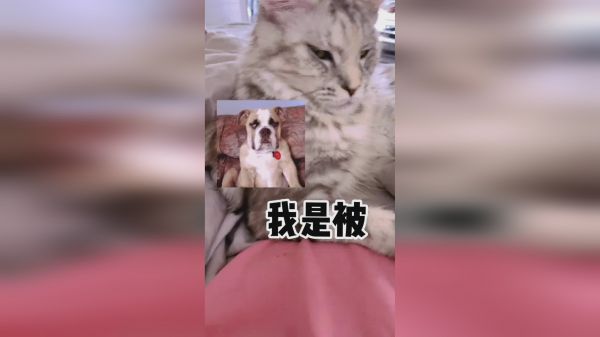  猛女