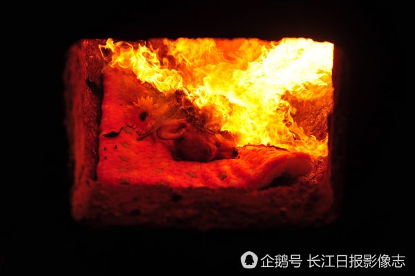 点击查看高清原图