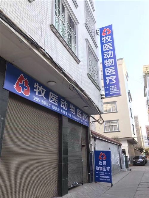 牧医动物医疗