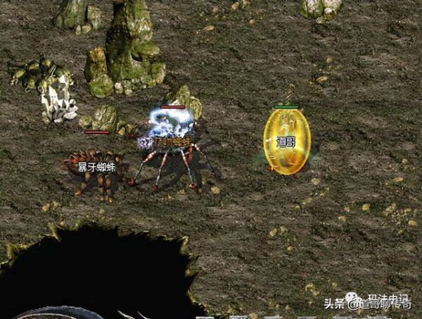 热血传奇:高阶法师宠物——花吻蜘蛛