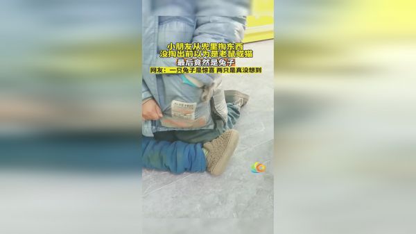 小朋友从兜里掏东西，没掏出前以为是老鼠或猫，最后竟然是兔子