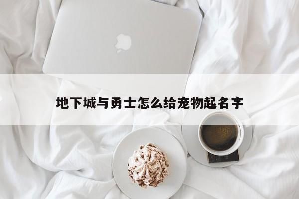 地下城与勇士怎么给宠物起名字-第1张图片
