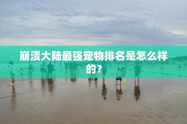 崩溃**最强宠物排名是怎么样的？