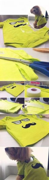 怎样用旧衣服做狗衣服