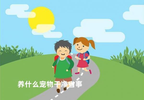 养什么宠物干净省事