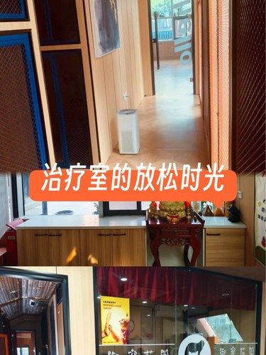 猫猫狗狗的治愈小窝，度假天堂