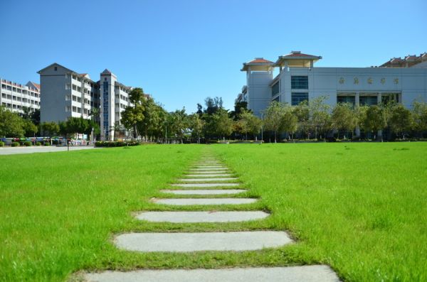 宠物医生职高报考条件(职高有宠物医生专业吗)