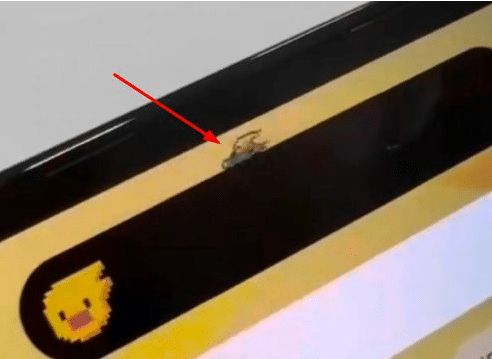iPhone14系列灵动岛怎么设置养宠物？