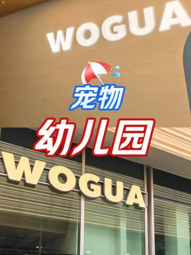 宠物自己的幼儿园