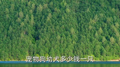 宠物狗幼犬多少钱一只