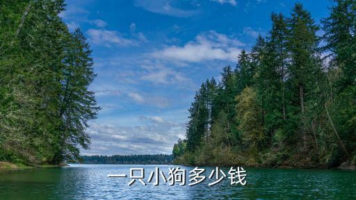 一只小狗多少钱