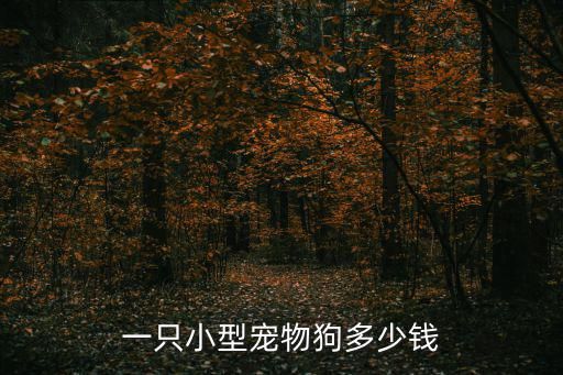 一只小型宠物狗多少钱