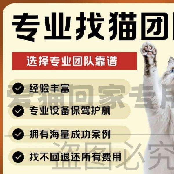 店主头像