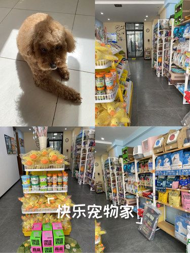 宠物家