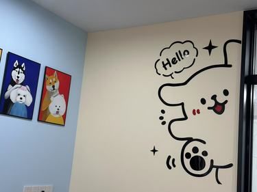 宠物美容小心得