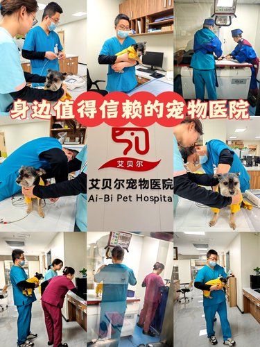 艾贝尔宠物医院，铲屎官们的安心首选   