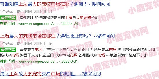 上海比较大的宠物市场在哪里