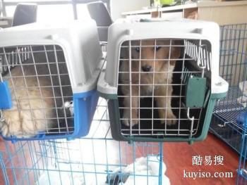 滨州宠物托运到全国 随机宠物托运服务 服务全面 省心安心