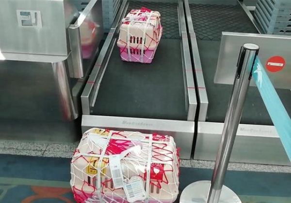 白沙宠物托运，到全国随机宠物托运服务 服务规范,细致谨慎
