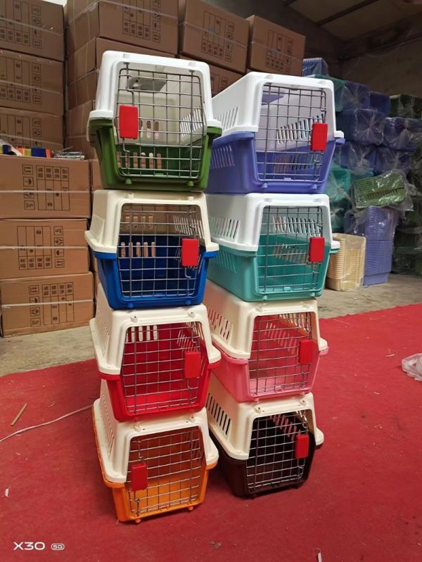 吉林猫狗托运全国服务