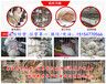 老河口市正规养兔基地