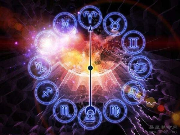 属兔的人适合养哪些宠物