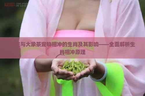详述与大象茶宠物相冲的生肖及其影响——全面解析生肖相冲原理