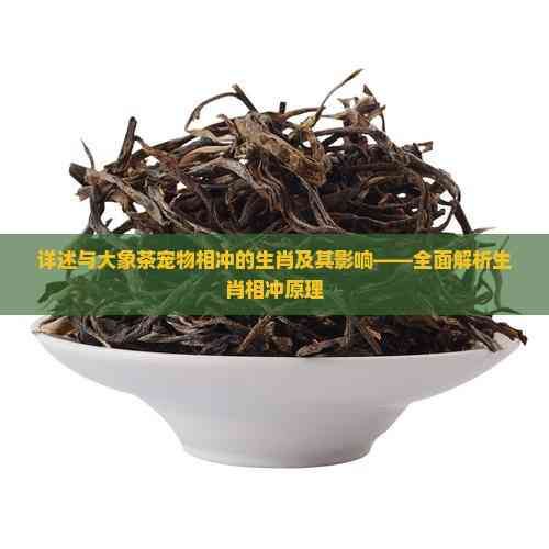 详述与大象茶宠物相冲的生肖及其影响——全面解析生肖相冲原理