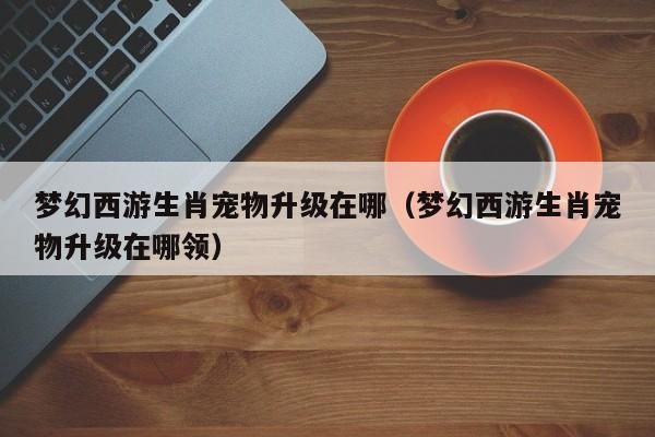 梦幻西游生肖宠物升级在哪（梦幻西游生肖宠物升级在哪领）-第1张图片