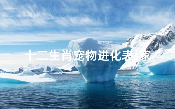 十二生肖宠物进化表(家中庞宠物是什么生肖)