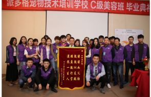 武汉派多格宠物美容学校学生