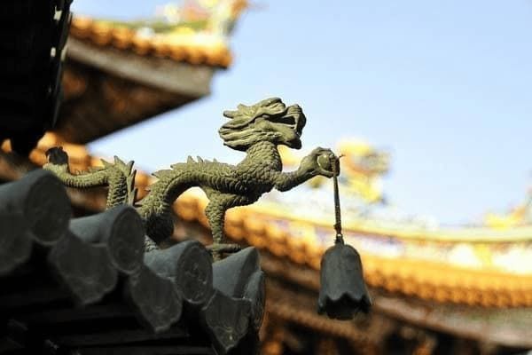宠物狗在家怎么剪毛，宠物狗在家怎么剪毛视频