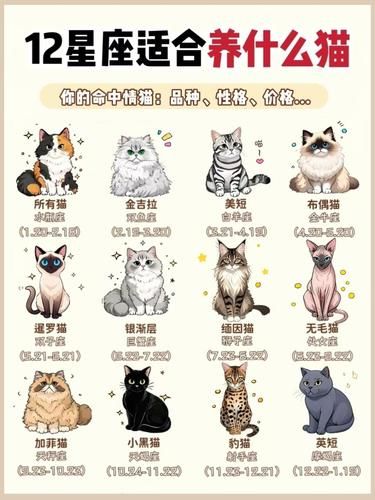 星座专属猫咪指南｜看看你的本命猫是哪只❓||