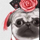 陈佳
