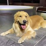 乔巴麻麻