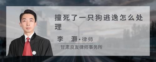 撞死了一只狗逃逸怎么处理