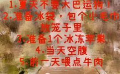 大巴可以带宠物吗(旅行中带宠物？看看大巴是否支持)
